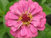 Олексій Максименко фотография #21 (источник - https://vk.com/id50386759)