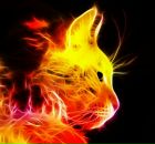 Фотография Якимова Люма