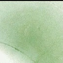 Алена _____ фотография #10 (источник - https://vk.com/id134429011)