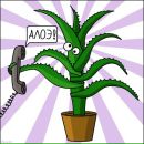 Фотография Rubanska Victory