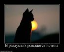 Фотография Суслова Антона