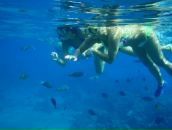 Фотография Халиковой Айгуль