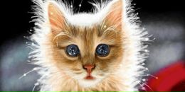 Фотография Семёновы Ирины