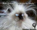 Андрій Глущенко фотография #24 (источник - https://vk.com/id136991761)