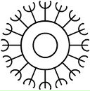 Фотография Рыбкина Алексея