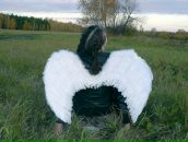 Фотография Новопашиной Евгении