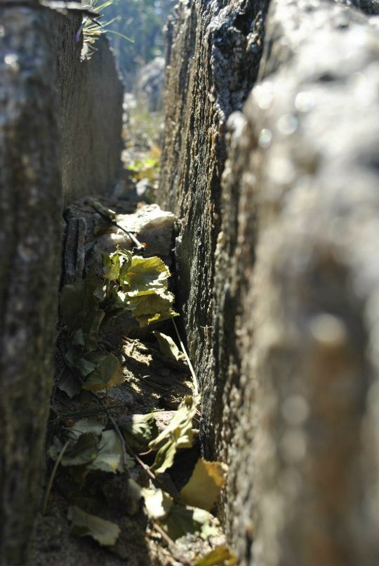 Дмитрий Павловский фотография #36