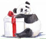 Фотография Вагиной Софьи