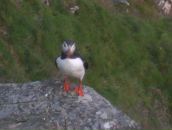 Фотография Калуцкой Ирины