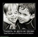 Сергій Кіс фотография #5 (источник - https://vk.com/id135955347)