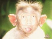 Фотография Тычкина Сергея