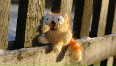 Фотография Чернышовой Ирины