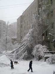 №9, Мария Михайлова, 43 года, Санкт-Петербург №9, Мария Михайлова, 43 года, Санкт-Петербург