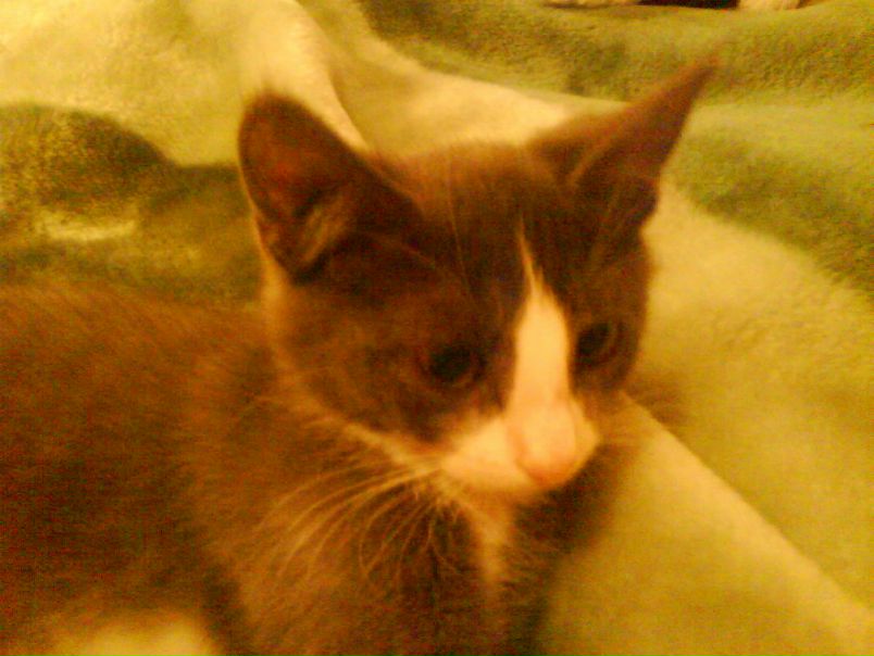 Валера Орлов фото №3