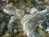 Иван Кузнецов фотография #11 (источник - https://vk.com/id98103)