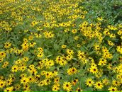 Иван Кузнецов фотография #25 (источник - https://vk.com/id98103)