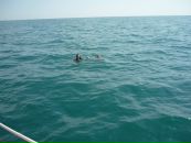 Фотография Рябухи Юлии