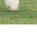 Олеся Вуйців фотография #48 (источник - https://vk.com/id74029763)