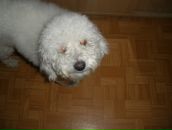 Фотография Неважно Левона