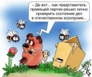Пух Винни фотография #2 (источник - https://vk.com/id4613792)