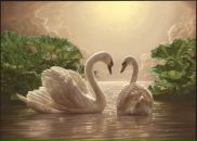 Фотография Степченко Татьяны