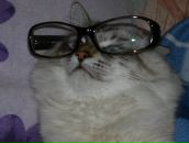 Фотография Дубовицкой Маши