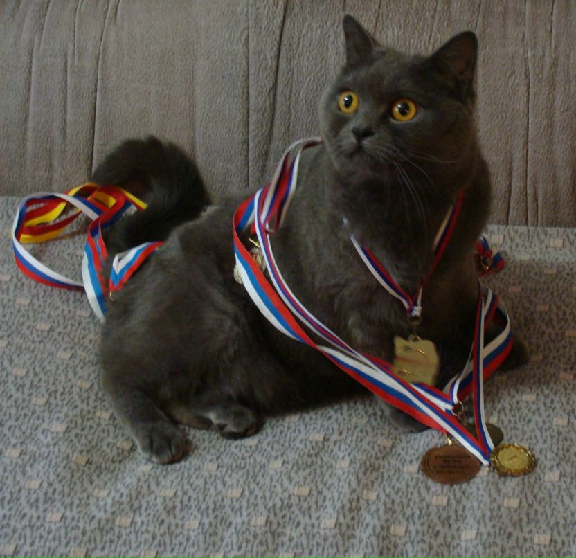 Игорь Соловьев фотография #41