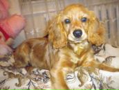 Людмила Остаповець фотография #12 (источник - https://vk.com/id21440694)