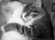 Римма Мустафина фотография #27 (источник - https://vk.com/id9083628)