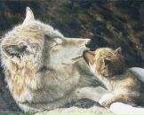 Фотография Loriel Нади