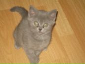 Яркий Мир фотография #6 (источник - https://vk.com/id83056)