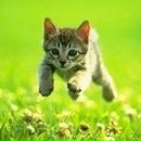 Серж Новіков фотография #1