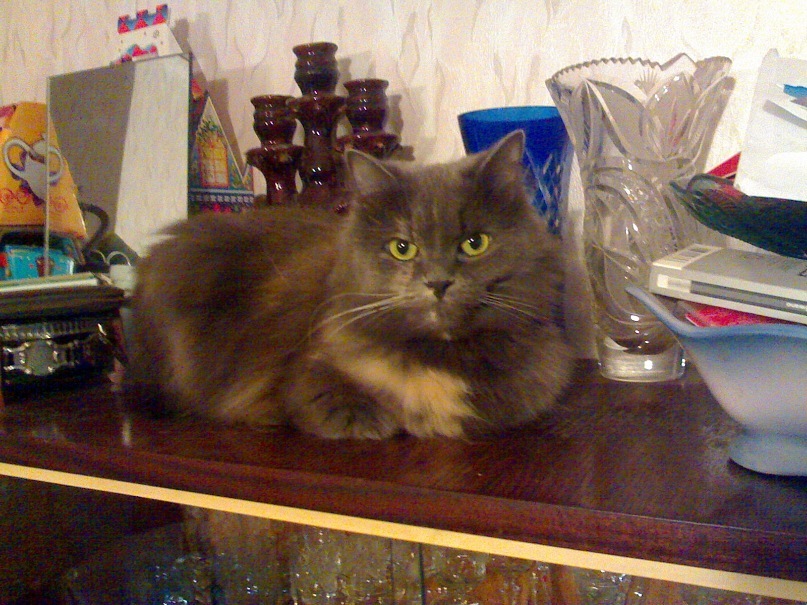 Александр Малик фотография #39