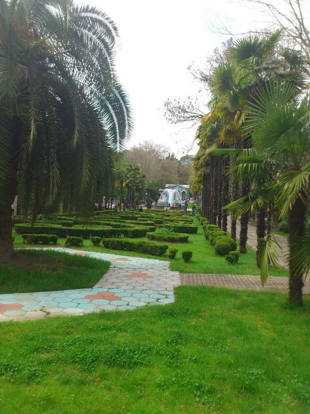 Иван Волков фотография #26