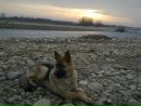 Роберт Фріс фотография #34 (источник - https://vk.com/id74842252)