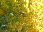 Фотография Наумкин Антон