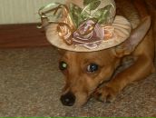 Фотография Петренко Светы