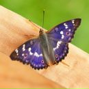 Фотография Марухиной Анастасии