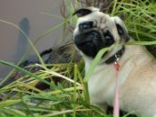 Фотография Медведевой Ани