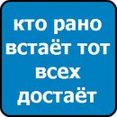 Крістінка Мандарінка фотография #6 (источник - https://vk.com/id161606956)