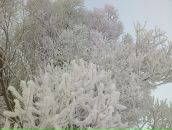 Андрей Камаев фотография #5 (источник - https://vk.com/id2346810)