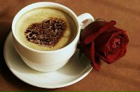 Неллі Волошин фотография #25 (источник - https://vk.com/id119037015)