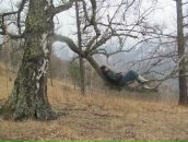 Фотография Низовцевой Елены