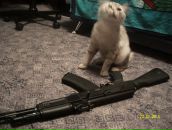 Фотография Попова Антона