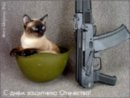 Plusha Кислая фотография #32 (источник - https://vk.com/id3554272)