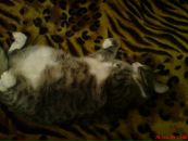 Фотография Колесниковой Марины