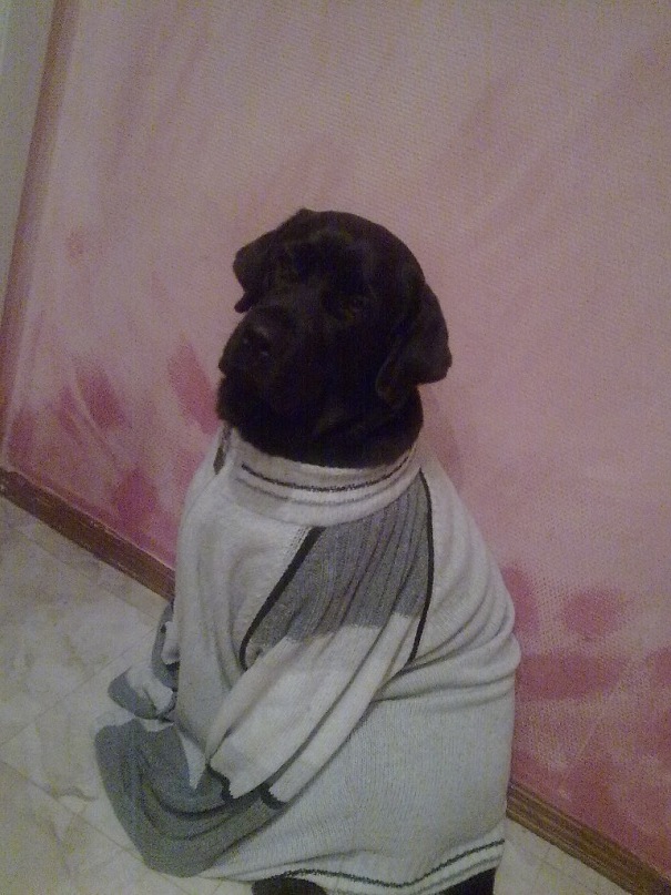 Андрей Студнев фотография #43