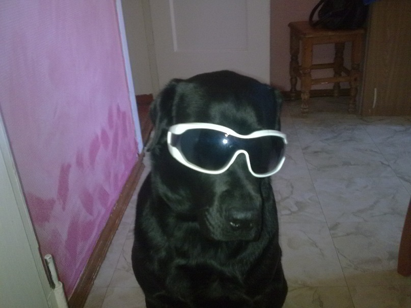 Андрей Студнев фотография #40