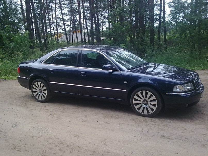 Андрей Студнев фотография #45