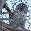 Дмитрий Филин фотография #1